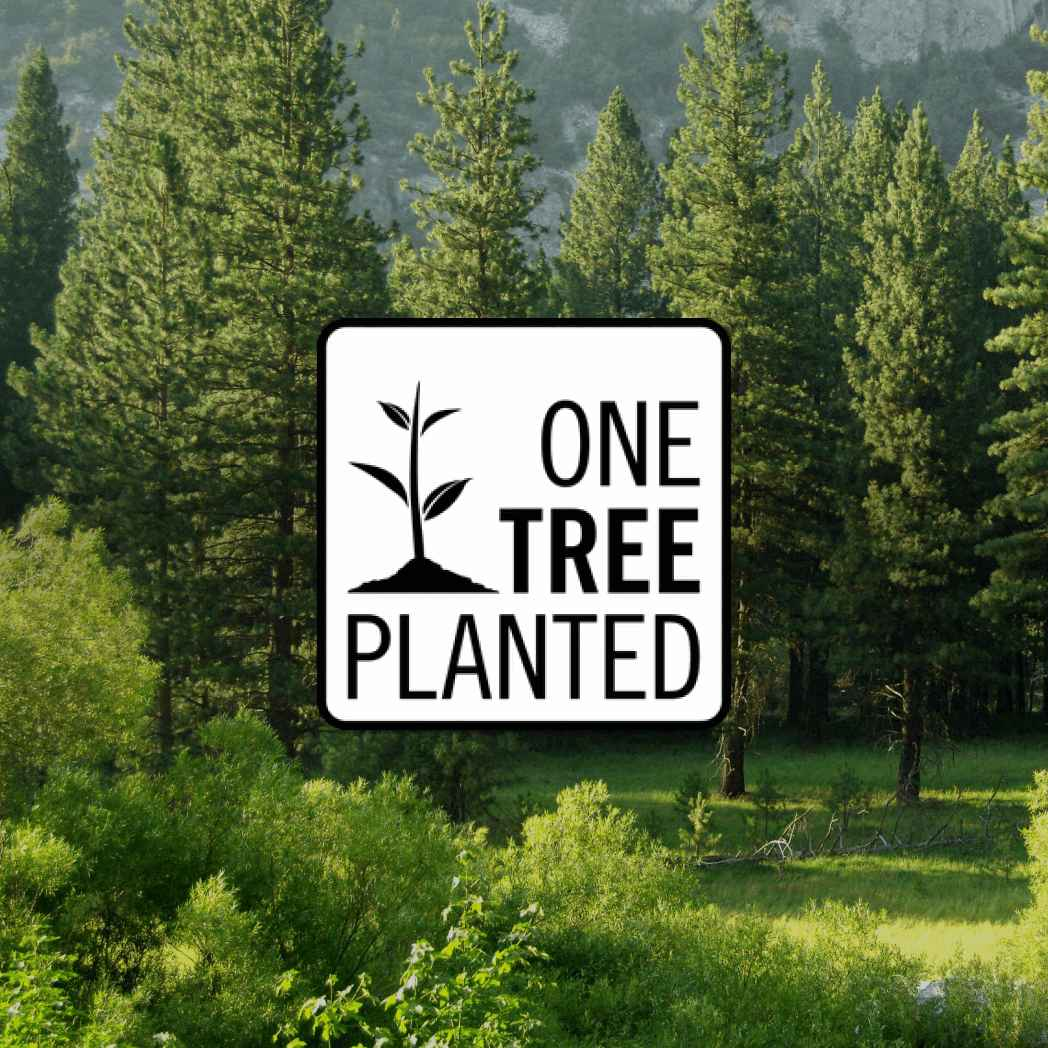 Donation of a Tree - Damned Threads